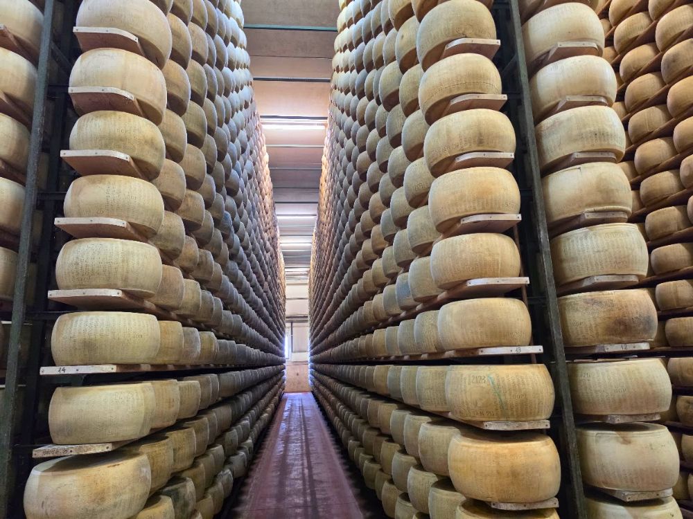 Ilgos lentynų eilės su šimtais didelių apvalių Parmigiano Reggiano sūrio galvų brandinimo patalpoje netoli Parmos. Sūriai sukrauti vienas virš kito iki lubų, o tarp lentynų driekiasi siauras praėjimas.